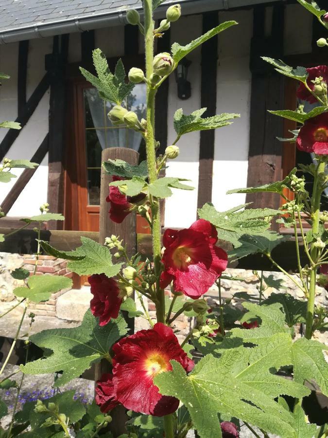 Le Clos Des Hortensias Toutainville المظهر الخارجي الصورة